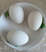 吃鹅蛋有什么好处，促进身体健康/提高脑力/增强体力