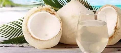 椰子水能不能天天喝