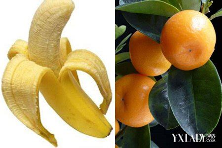 降血压水果第一名，香蕉／火龙果／菠萝